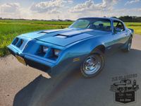 Pontiac Firebird Te Koop