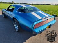 Pontiac Firebird Te Koop