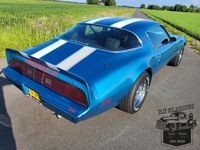 Pontiac Firebird Te Koop