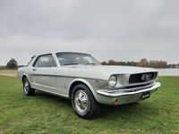 mustanggrijsaanbodpagina