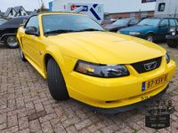 Ford Mustang Cabrio