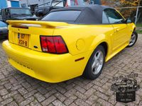 Ford Mustang Cabrio