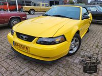 Ford Mustang Cabrio